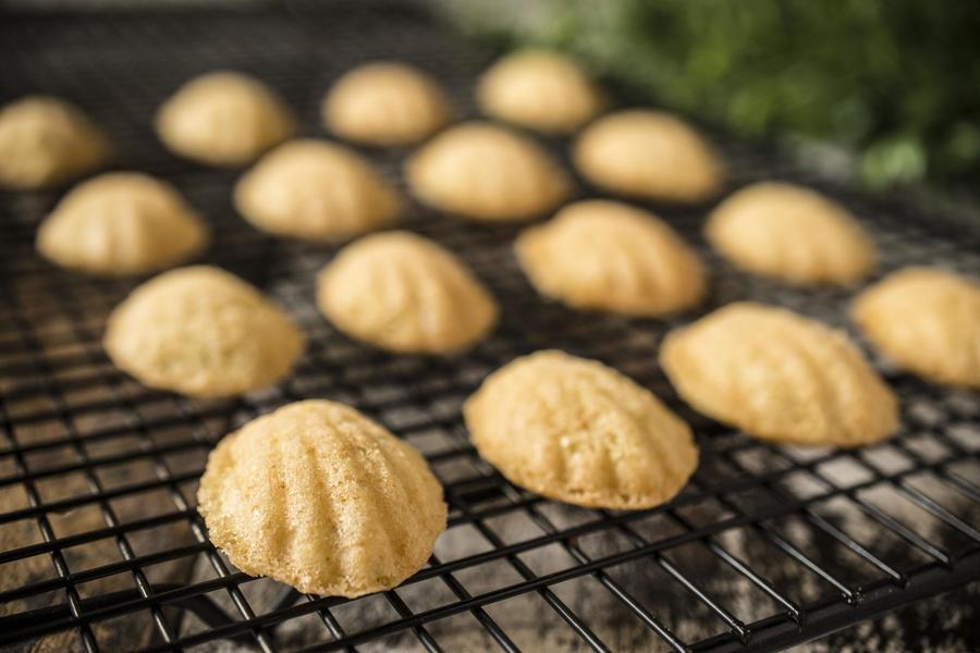 Madeleines de Mel e Limão