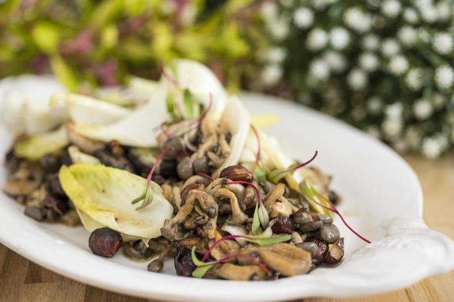 Salada de Cogumelos Grelhados com Avelã