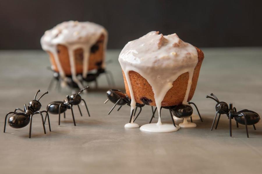 Muffins de Blueberry