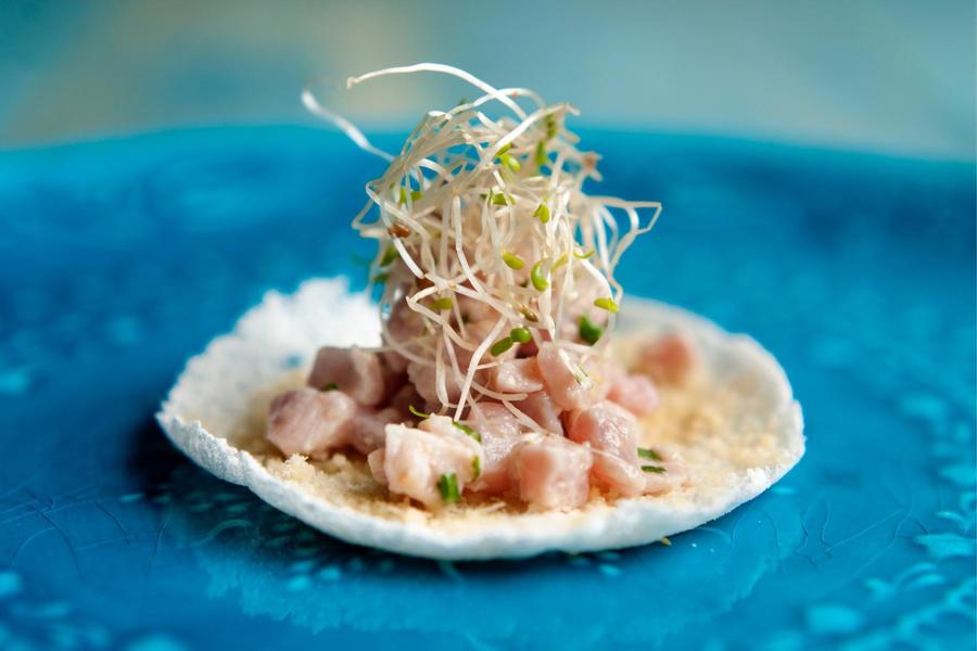 Tartar de Atum em Tapioca