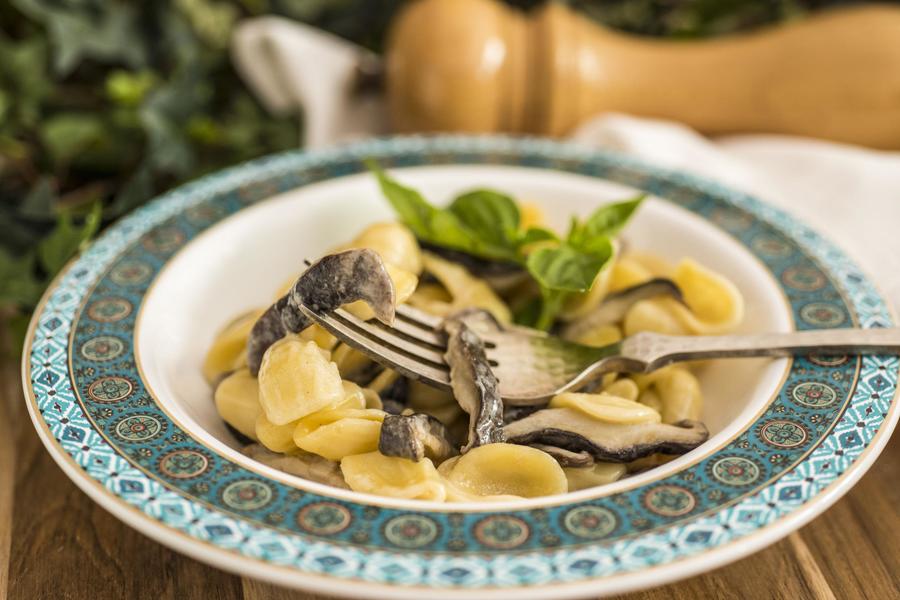 Orecchiette com Queijo e Cogumelo