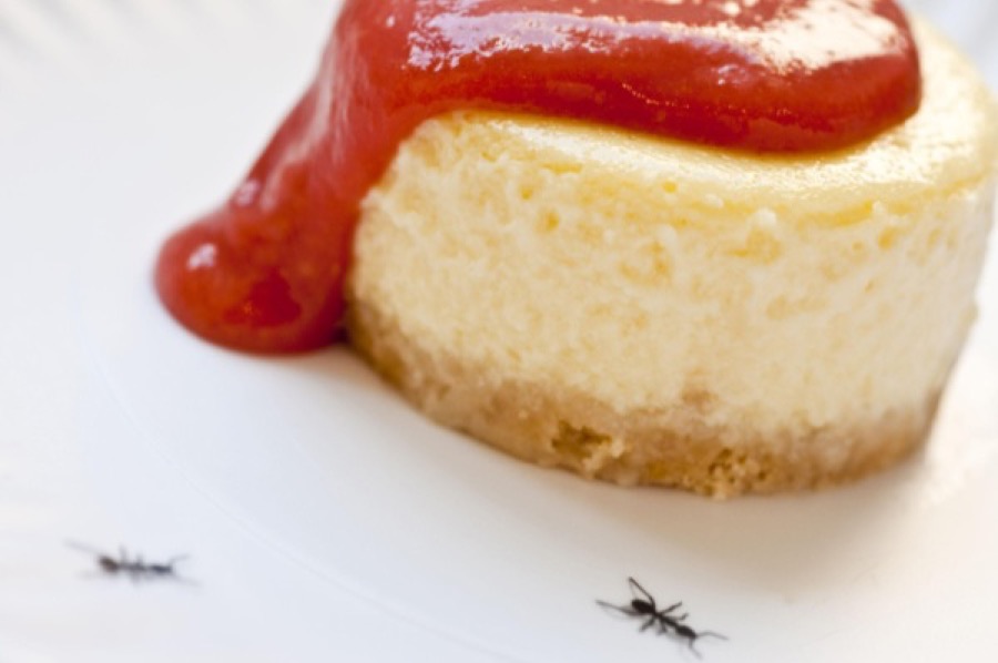 Cheesecake de Goiabada