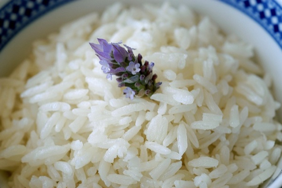 Arroz Branco