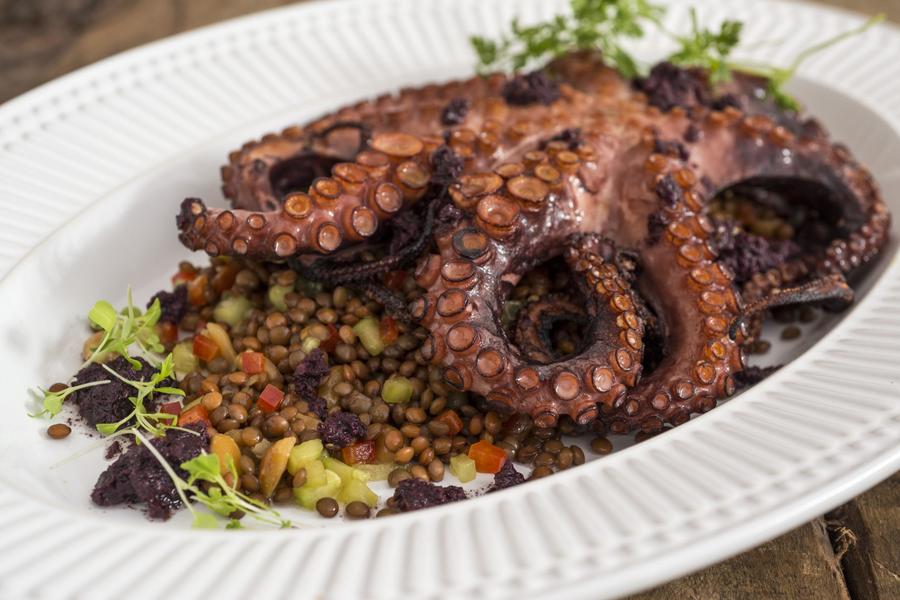 Polvo Fresco na Chapa com Salada de Lentilhas Vermelhas e Tapenade