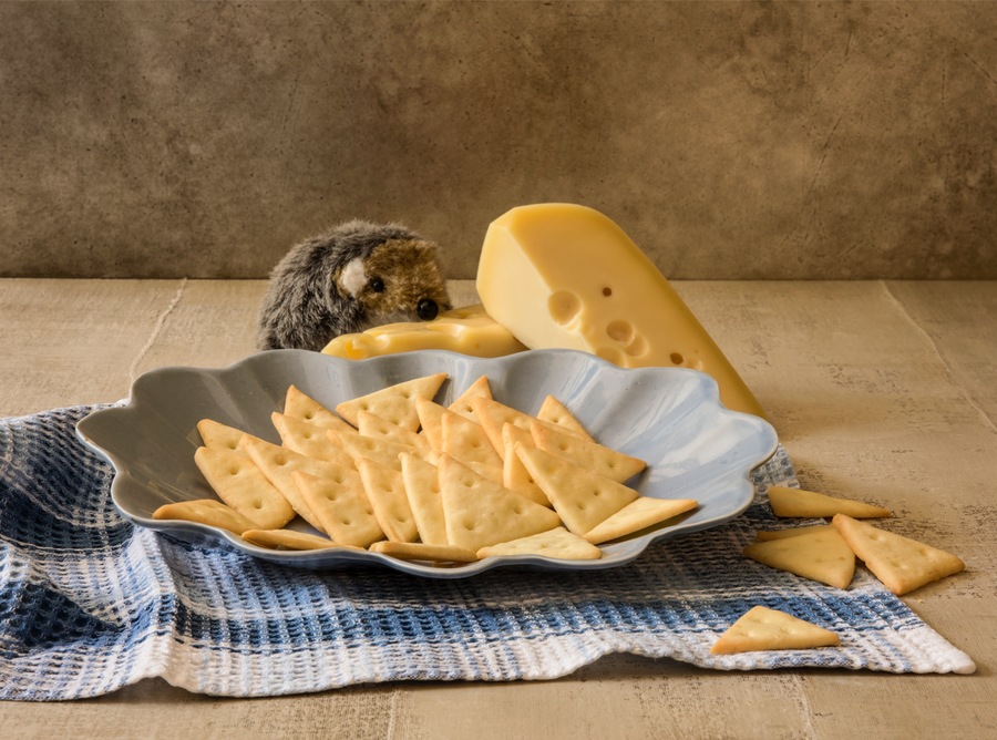 Biscoito de Parmesão sem Glúten