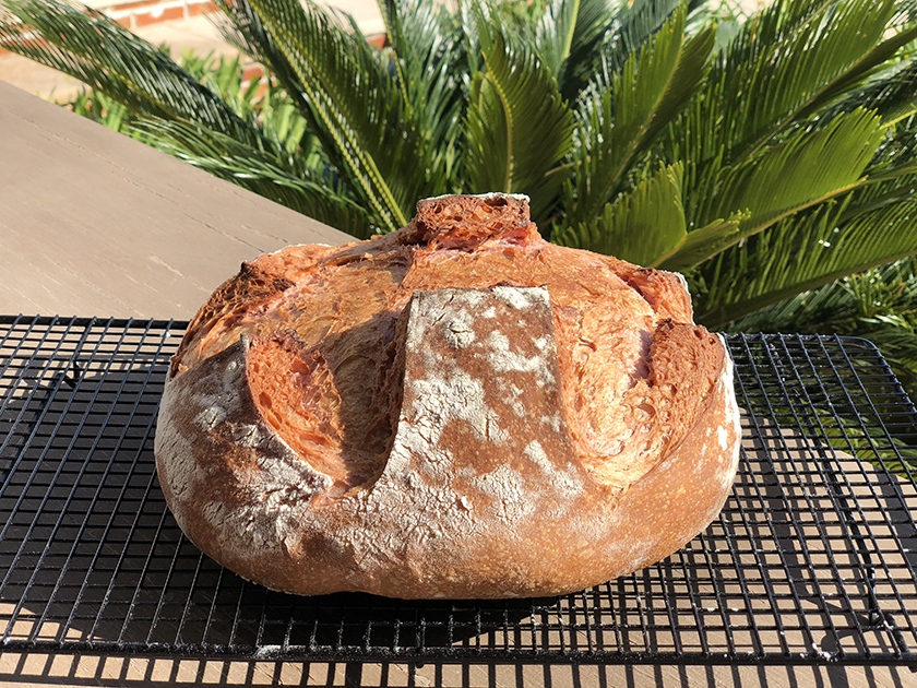 Pão de Batata-Doce Roxa com Levain