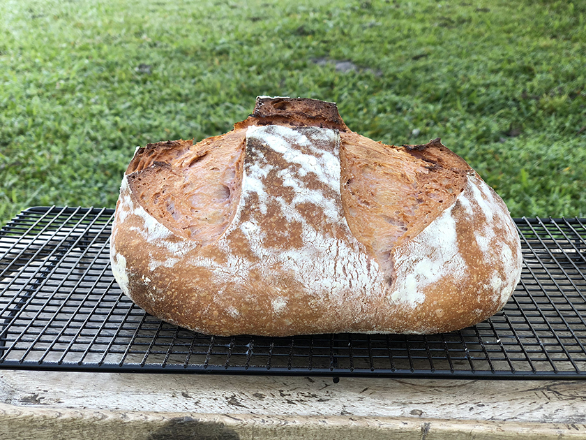 Pão de Batata-Doce Roxa com Levain