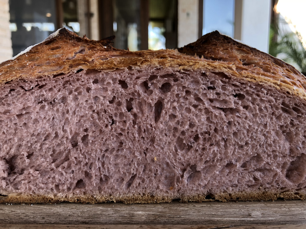 Pão de Batata-Doce Roxa com Levain