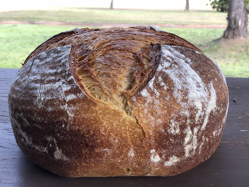 Pão de Abóbora com Levain