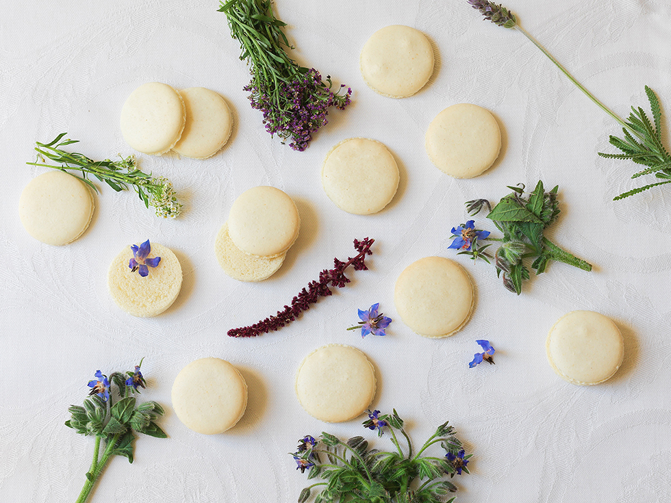 Macaron (Receita Básica)