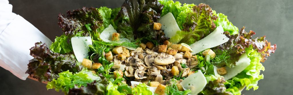 Salada de Folhas com Cogumelo e Croûtons
