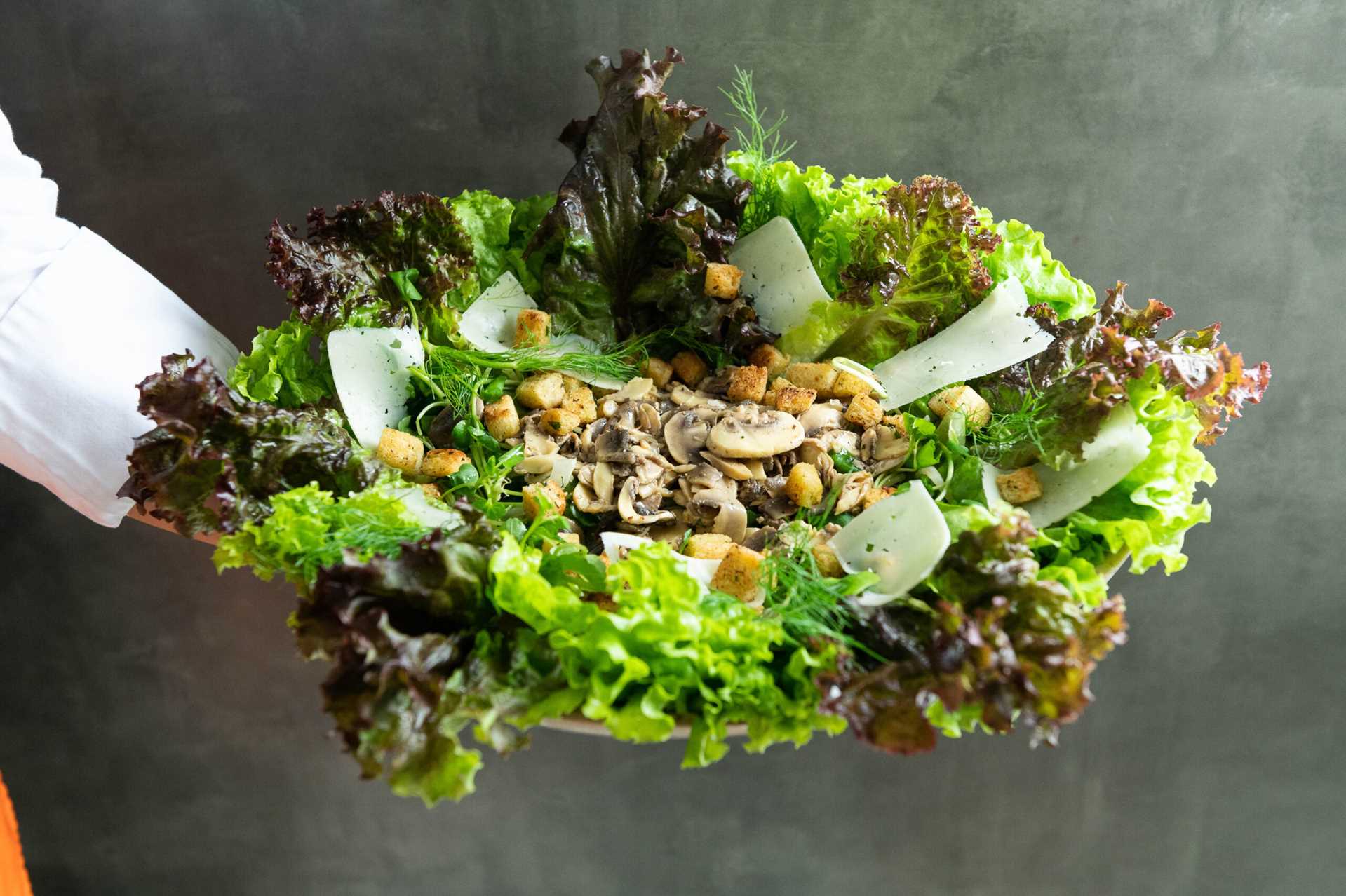 Salada de Folhas com Cogumelo e Croûtons