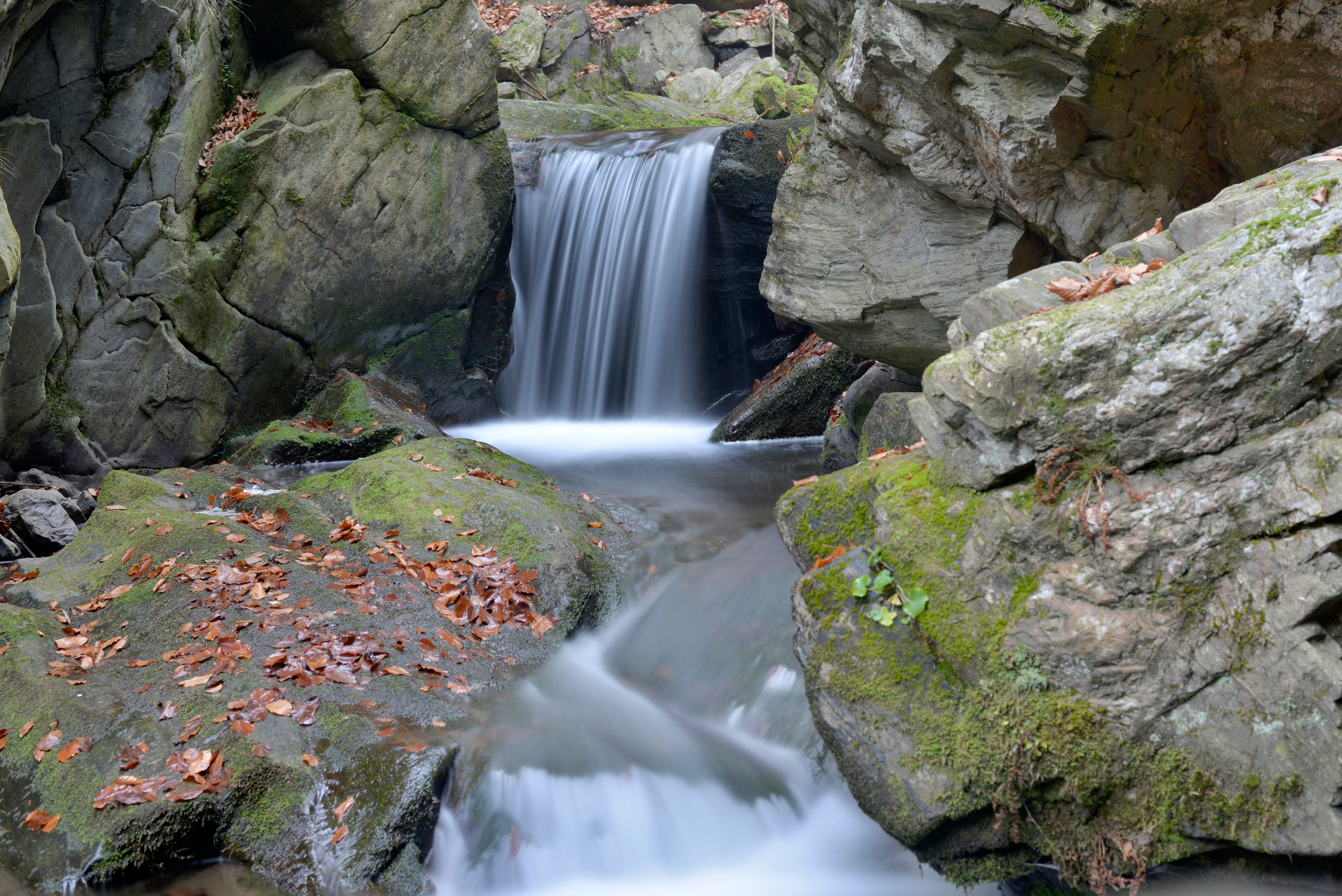 Oirase Gorge waterfall with moss-covered rocks in spring