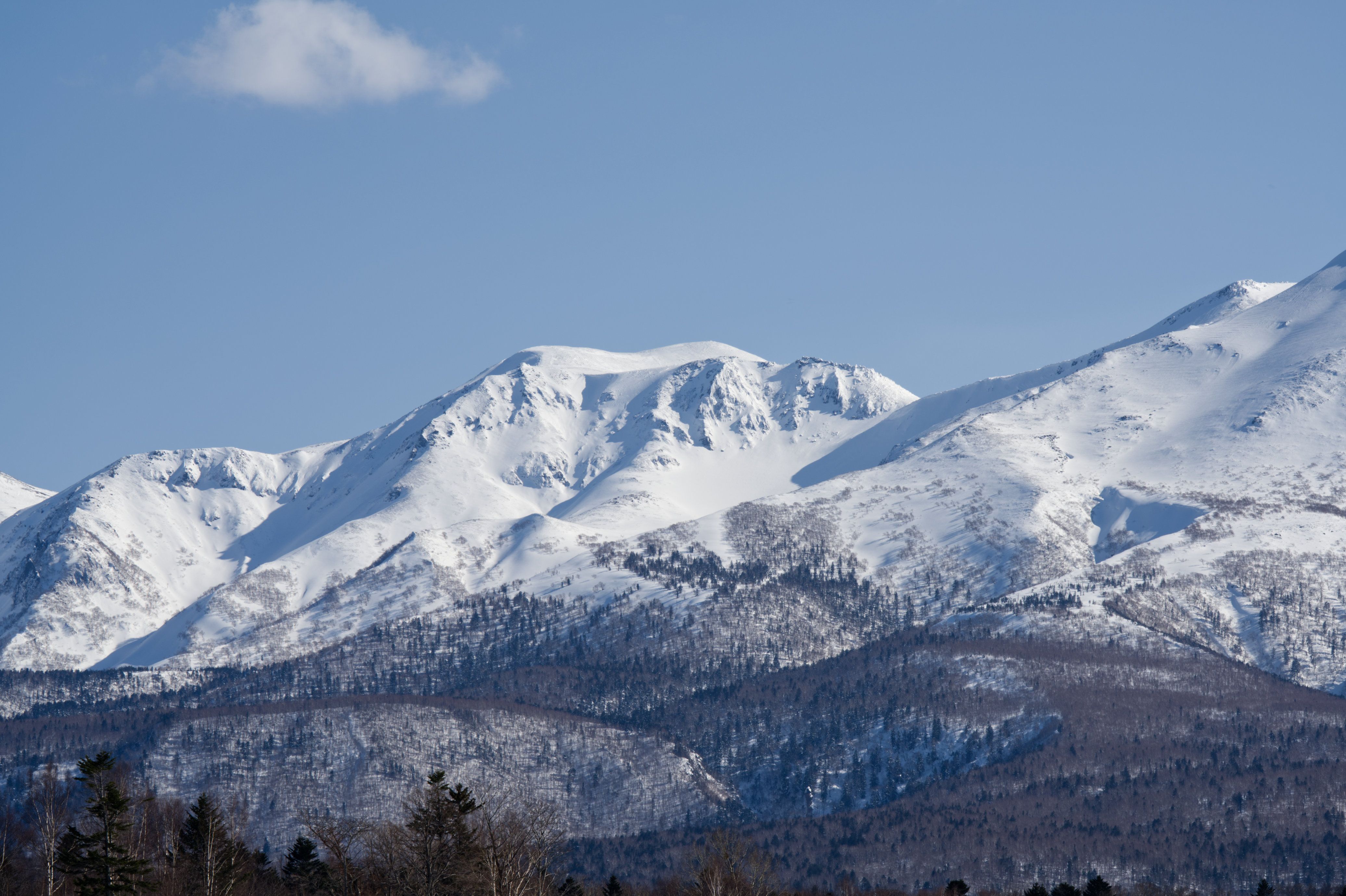 Mount Hakkoda snowy volcanic peaks with spring alpine flowers