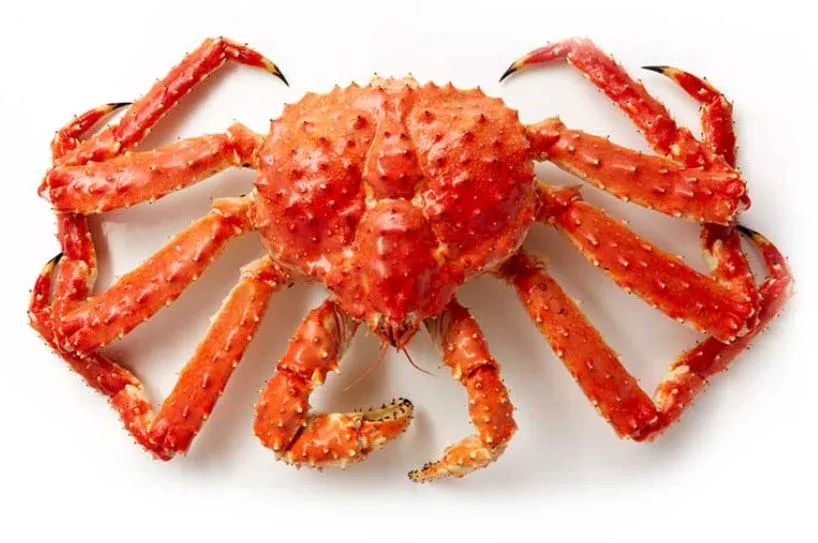 King Crab