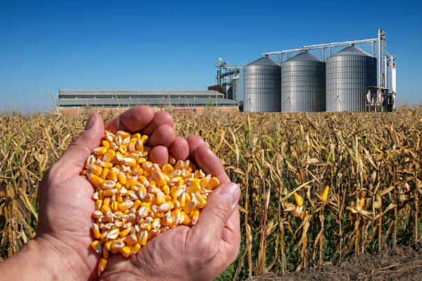 Post Harvest Solutions