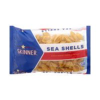 Skinner Sea Shells