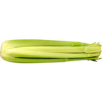 Fresh Celery, Hearts
