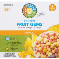 Full Circle Market Fruit Gems, Frozen, Tropical - 4 Each 