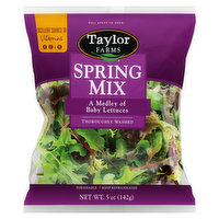 Taylor Farms Spring Mix - 5 Ounce