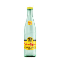 Topo Chico  Sparkling Mineral Water Glass Bottle - 12 Fluid ounce 