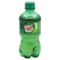 Canada Dry Ginger Ale - 12 Ounce