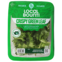 Local Bounti Crispy Green Leaf