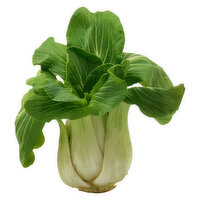 Fresh Bok Choy - 0.78 Pound 