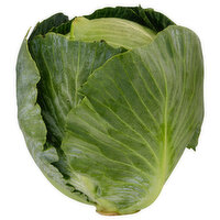 Fresh Cabbage, Green - 2.75 Pound 