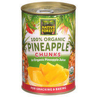 Native Forest Pineapple Chunks, 100% Organic - 14 Ounce 