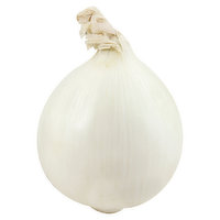 Fresh Onion, White - 1.24 Pound 