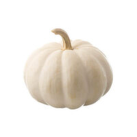 Fresh Jumbo White Pumpkin - 1 Each 