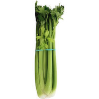 Syndigo Celery - 1 Each 