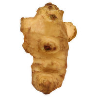 Fresh Jerusalem Artichoke - 0.3 Pound 