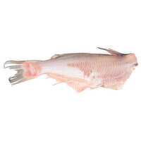 Fresh Whole Catfish,  U.S. Farm Raised - 1.4 Pound 