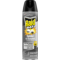 Raid Spider & Scorpion Killer, Indoor - Outdoor - 12 Ounce 
