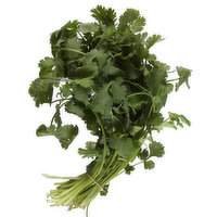 Fresh Parsley Washing Greens Salad Tosser Stock Photo 2346865353