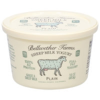 Bellwether Farms Yogurt, Full Fat, Plain, Sheep Milk - 16 Ounce 