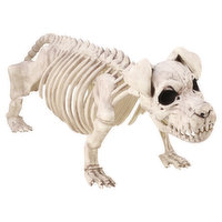 Crazy Bonez Buddy Bonez - 1 Each