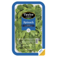 Taylor Farms Spinach Leaves, Tender