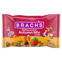 Brach's Candy, Autumn Mix - 11 Ounce 