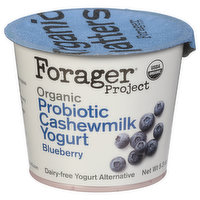 Forager Project Cashewmilk Yogurt, Organic, Blueberry, Probiotic - 5.3 Ounce