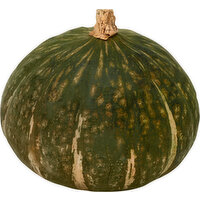 Fresh Squash, Buttercup - 0.9 Pound 