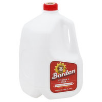 Borden Milk, Vitamin D - 1 Gallon 