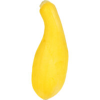 Fresh Squash, Yellow - 1.37 Pound 