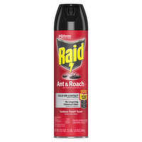 Raid Ant & Roach Killer, Outdoor Fresh Scent - 17.5 Ounce 