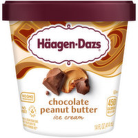 Haagen Dazs Chocolate Peanut Butter Ice Cream