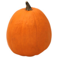 Fresh Pumpkin - 1 Each 