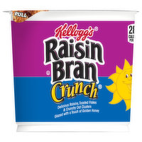 Raisin Bran Cereal - 2.8 Ounce 