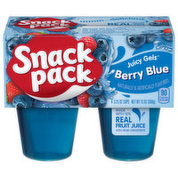 Snack Pack Juicy Gels, Berry Blue - 4 Each